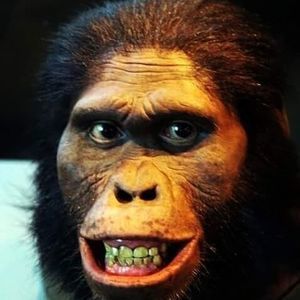 Meet your Posher, Dominuchi